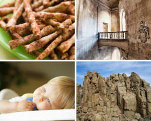 canva screenshot of images being used