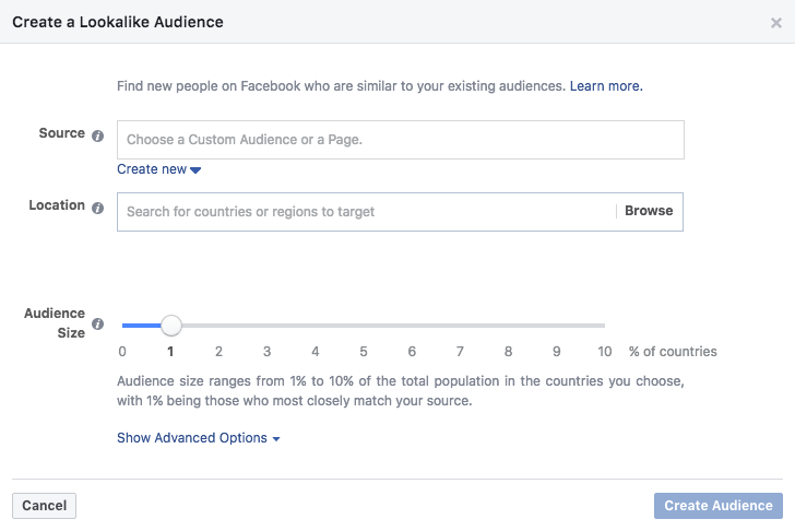 Facebook lookalike audience