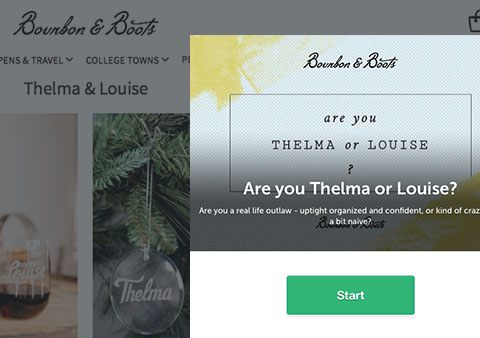 They made fun engaging quizzes based on buyer personas