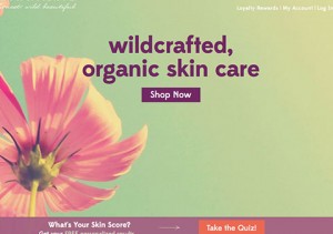 Website Homepage – $100,000 In New Sales