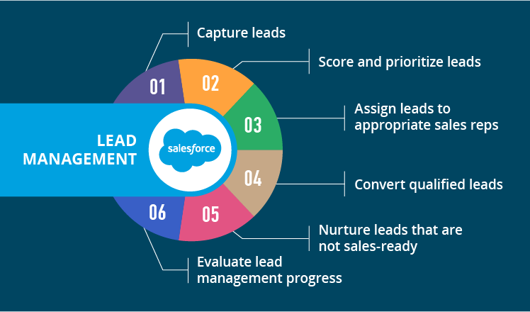 salesforce lead management 01 1