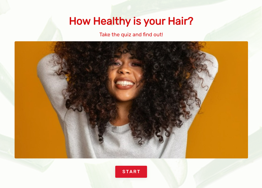 LeadQuizzes example quiz