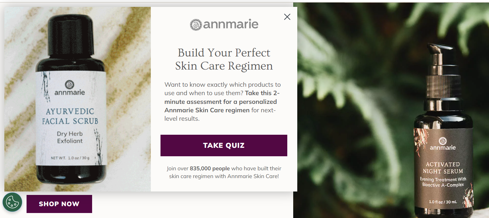 LeadQuizzes customer case study - Annmarie